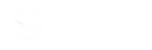 psicanálise